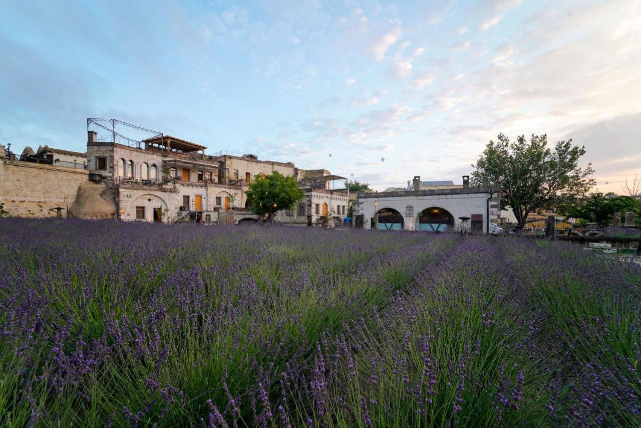 Design Cappadocia Hotel Göreme Exterior foto